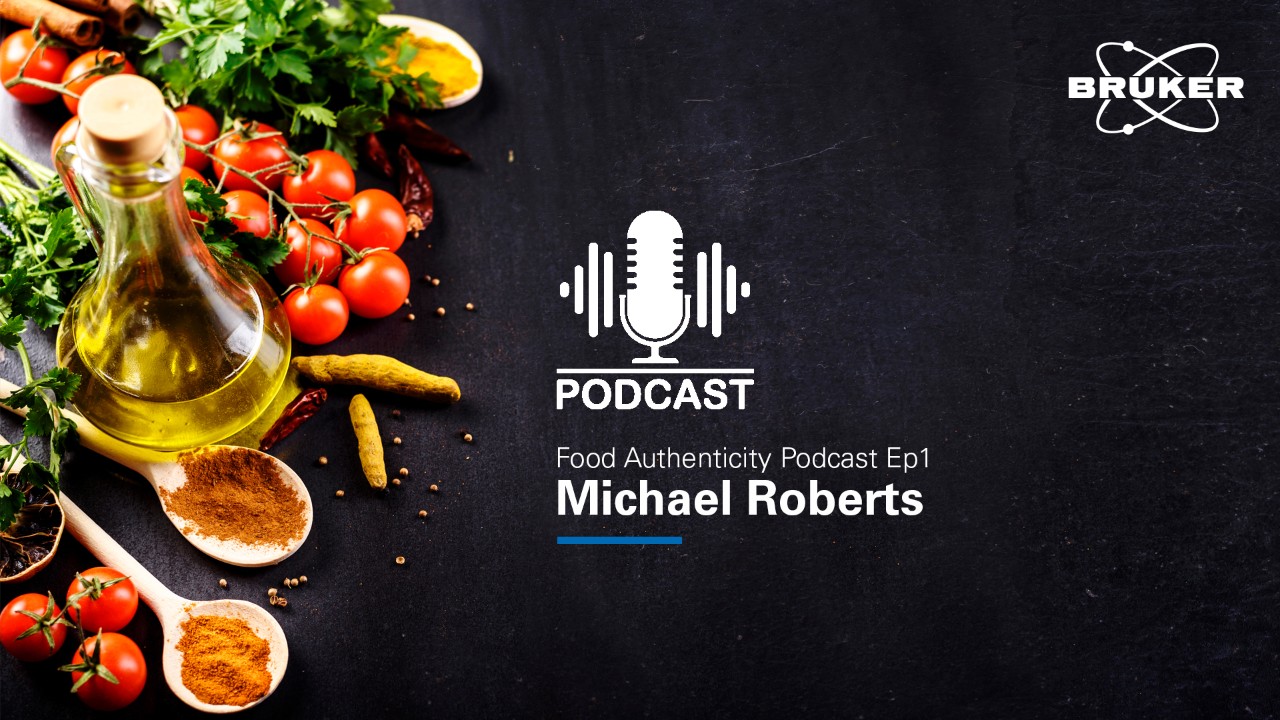 喷火d Authenticity Podcast Ep1 Michael Roberts