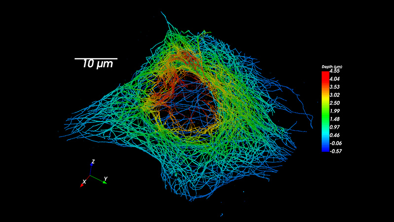 Vutara细胞生物学挑逗者BRUKER