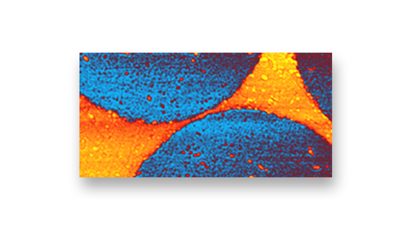 纳米- Nanoscale Thermal Analysis