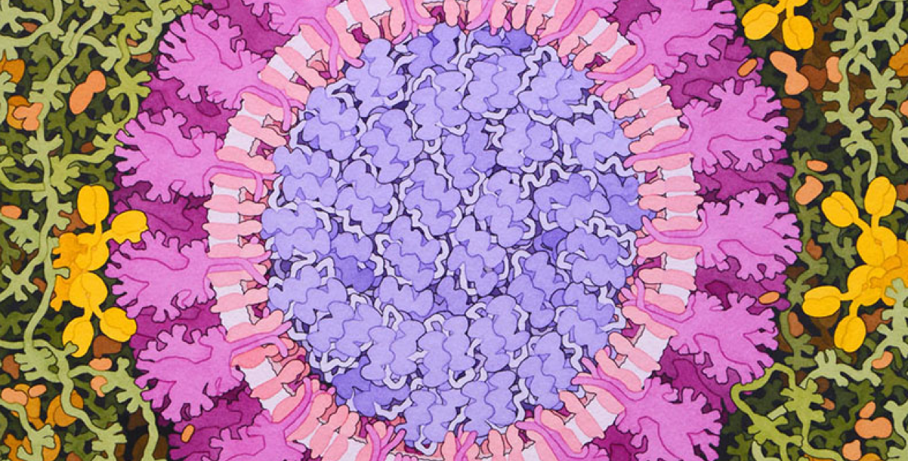 Coronavirus_banner_crop