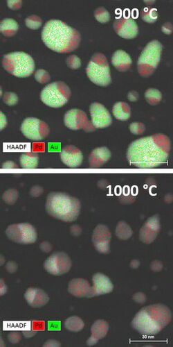 温度升高的元素映射（STEM EDS）。在1000°C下，最小的AU颗粒由于尺寸取决于熔化的温度而蒸发，而较大的AU颗粒和PD均保持。