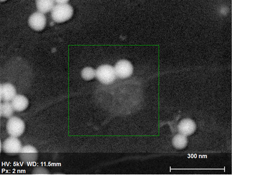 硅纳米颗粒的SE图像在过滤材料上