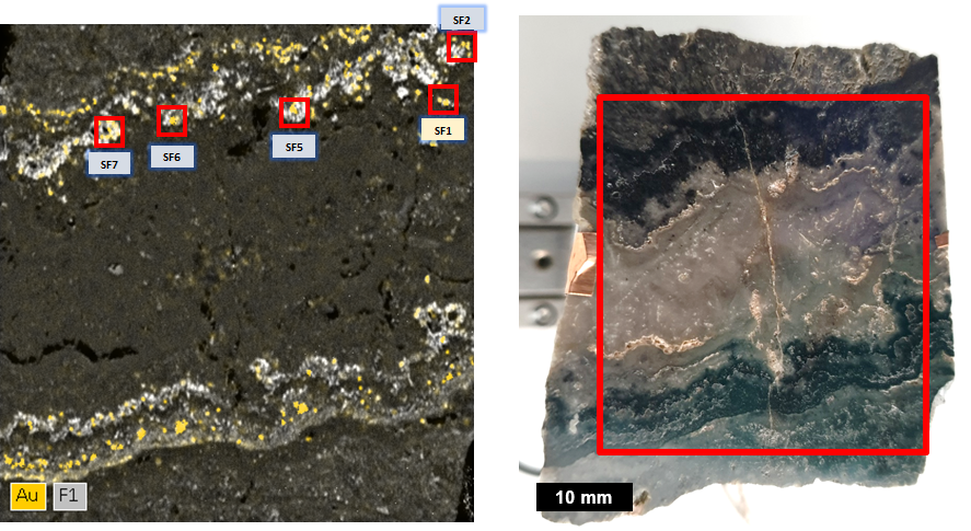 图1：来自新西兰的卡朗坪金矿的样品。
