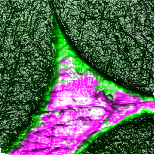 碳纤维嵌入环氧树脂的纳米电学PF-KPFM图像的纳米尺度性能图。
