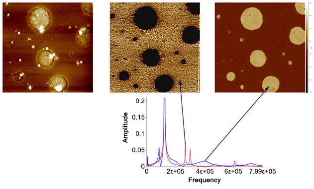 nanoIR——Polyme的纳米机械属性映射r Blends