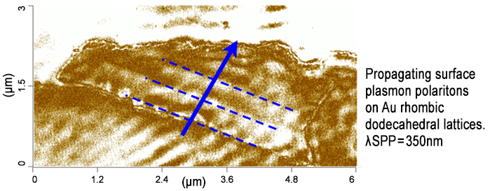 表面等离子体极化子的纳米ir - s-SNOM