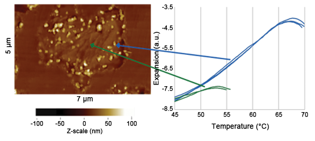 Análisis térmico a nanoescala（nanoTA）