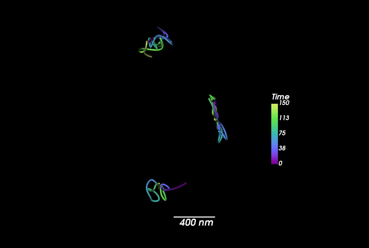 Single tomm20 proteins