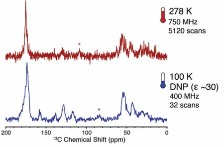 在Bruker DNP-NMR光谱仪上已经成功地增强了广泛的生物样品，包括小肽、可溶性蛋白、膜蛋白和大型生物复合物。