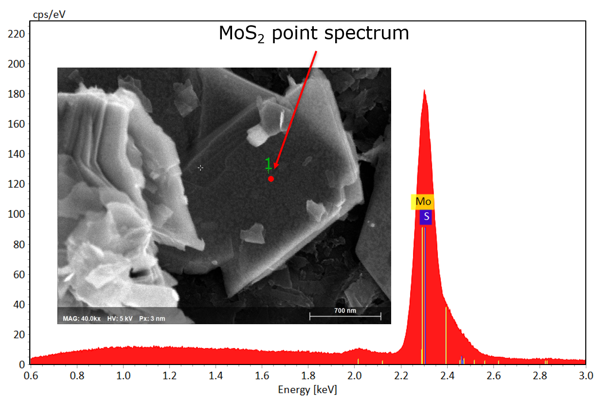图1 MoS2的SEM图像和点光谱